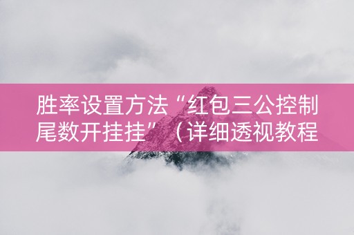 胜率设置方法“红包三公控制尾数开挂挂”（详细透视教程）-哔哩哔哩