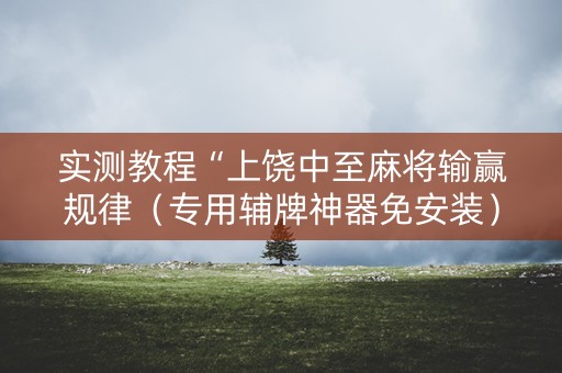 实测教程“上饶中至麻将输赢规律（专用辅牌神器免安装）