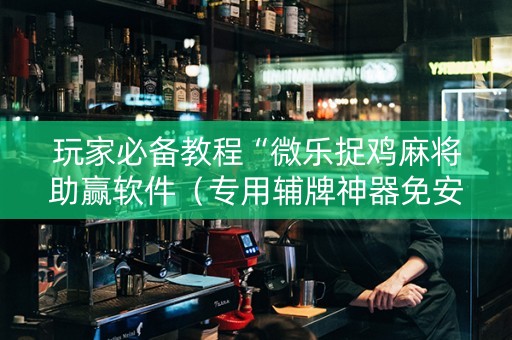 玩家必备教程“微乐捉鸡麻将助赢软件（专用辅牌神器免安装）