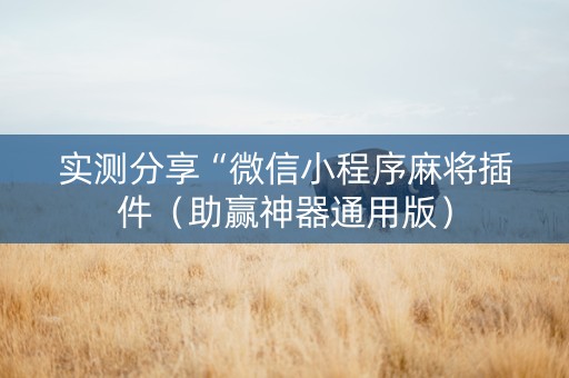 实测分享“微信小程序麻将插件（助赢神器通用版）