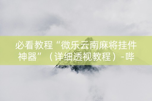 必看教程“微乐云南麻将挂件神器”（详细透视教程）-哔哩哔哩