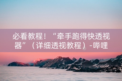 必看教程！“牵手跑得快透视器”（详细透视教程）-哔哩哔哩