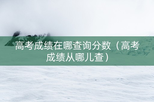 高考成绩在哪查询分数（高考成绩从哪儿查）