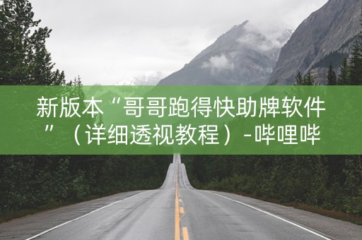 新版本“哥哥跑得快助牌软件”（详细透视教程）-哔哩哔哩