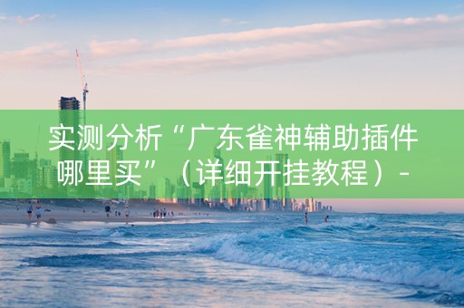 实测分析“广东雀神辅助插件哪里买”（详细开挂教程）-哔哩哔哩
