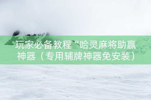 玩家必备教程“哈灵麻将助赢神器（专用辅牌神器免安装）