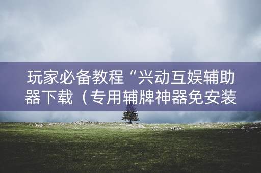 玩家必备教程“兴动互娱辅助器下载（专用辅牌神器免安装）