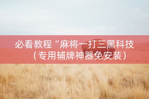 必看教程“麻将一打三黑科技（专用辅牌神器免安装）