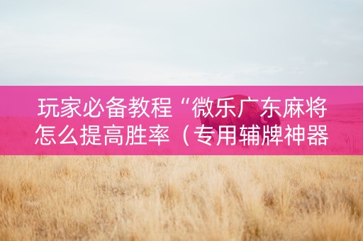 玩家必备教程“微乐广东麻将怎么提高胜率（专用辅牌神器免安装）
