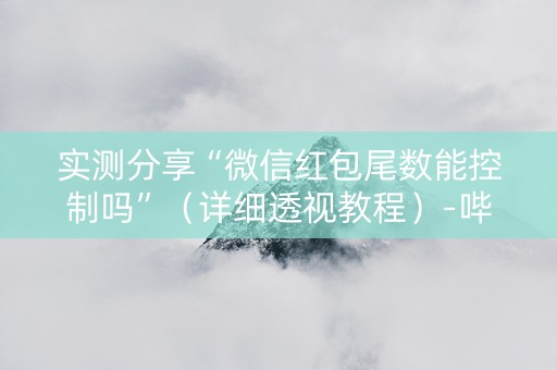 实测分享“微信红包尾数能控制吗”（详细透视教程）-哔哩哔哩