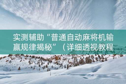 实测辅助“普通自动麻将机输赢规律揭秘”（详细透视教程）-哔哩哔哩