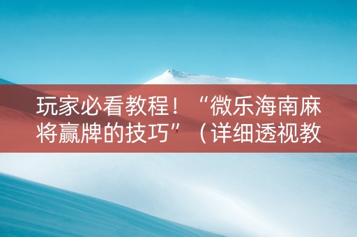 玩家必看教程！“微乐海南麻将赢牌的技巧”（详细透视教程）-哔哩哔哩