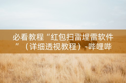 必看教程“红包扫雷埋雷软件”（详细透视教程）-哔哩哔哩
