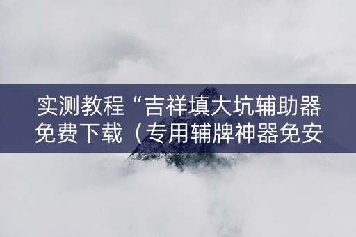 实测教程“吉祥填大坑辅助器免费下载（专用辅牌神器免安装）