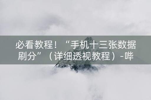 必看教程！“手机十三张数据刷分”（详细透视教程）-哔哩哔哩