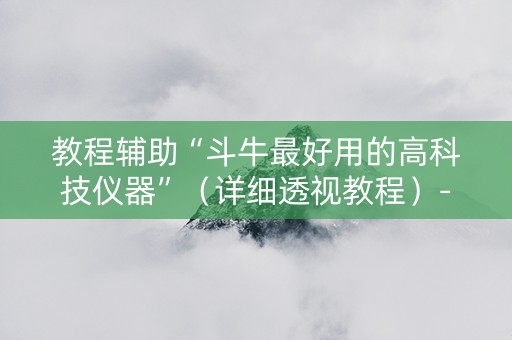教程辅助“斗牛最好用的高科技仪器”（详细透视教程）-哔哩哔哩