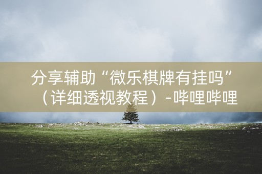 分享辅助“微乐棋牌有挂吗”（详细透视教程）-哔哩哔哩