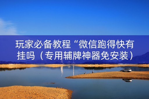 玩家必备教程“微信跑得快有挂吗（专用辅牌神器免安装）