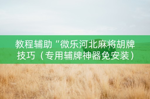 教程辅助“微乐河北麻将胡牌技巧（专用辅牌神器免安装）