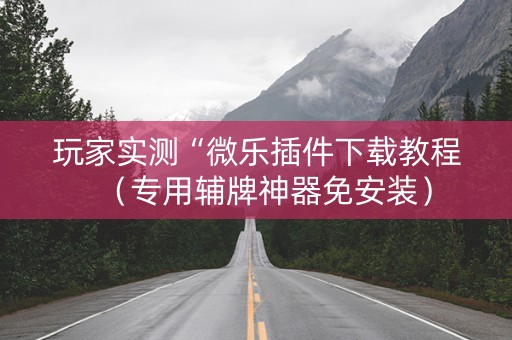 玩家实测“微乐插件下载教程（专用辅牌神器免安装）