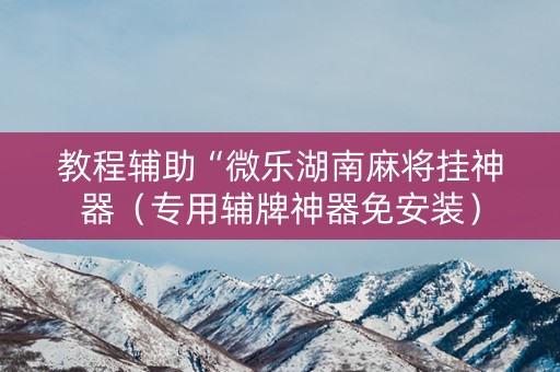 教程辅助“微乐湖南麻将挂神器（专用辅牌神器免安装）