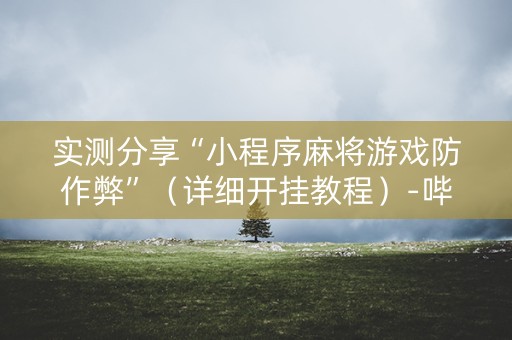 实测分享“小程序麻将游戏防作弊”（详细开挂教程）-哔哩哔哩