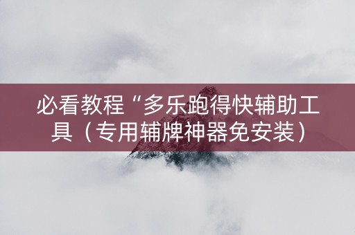必看教程“多乐跑得快辅助工具（专用辅牌神器免安装）