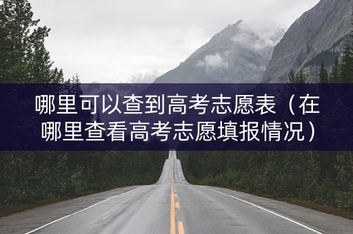 哪里可以查到高考志愿表（在哪里查看高考志愿填报情况）