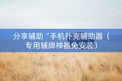 分享辅助“手机扑克辅助器（专用辅牌神器免安装）