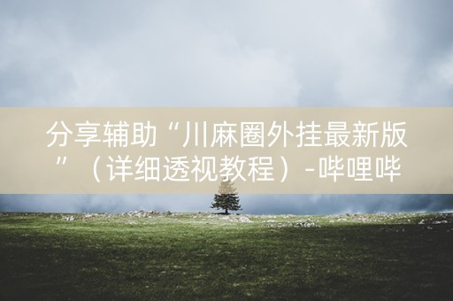 分享辅助“川麻圈外挂最新版”（详细透视教程）-哔哩哔哩