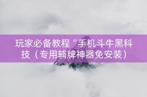 玩家必备教程“手机斗牛黑科技（专用辅牌神器免安装）