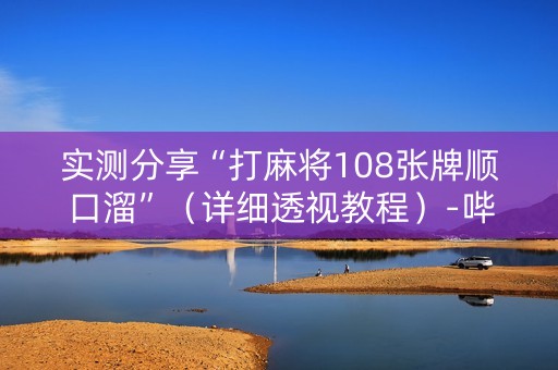 实测分享“打麻将108张牌顺口溜”（详细透视教程）-哔哩哔哩
