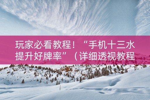 玩家必看教程！“手机十三水提升好牌率”（详细透视教程）-哔哩哔哩