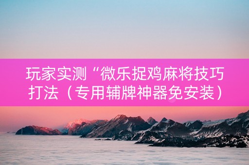 玩家实测“微乐捉鸡麻将技巧打法（专用辅牌神器免安装）