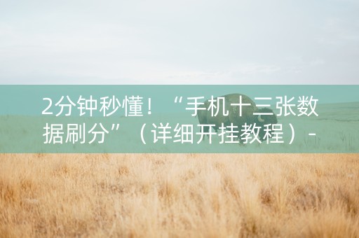 2分钟秒懂！“手机十三张数据刷分”（详细开挂教程）-哔哩哔哩