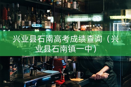 兴业县石南高考成绩查询（兴业县石南镇一中）