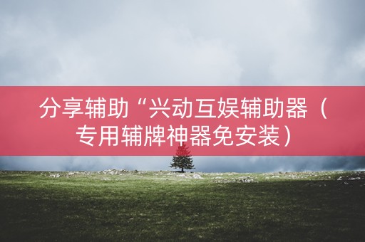分享辅助“兴动互娱辅助器（专用辅牌神器免安装）