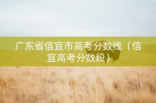 广东省信宜市高考分数线（信宜高考分数段）