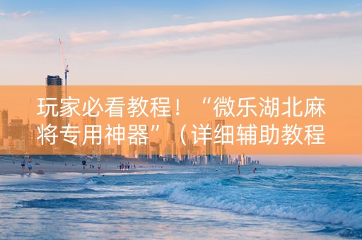 玩家必看教程！“微乐湖北麻将专用神器”（详细辅助教程）-哔哩哔哩
