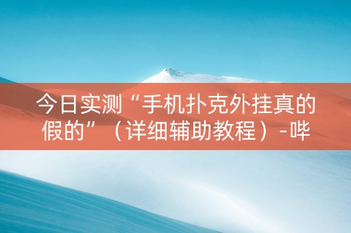 今日实测“手机扑克外挂真的假的”（详细辅助教程）-哔哩哔哩