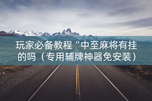 玩家必备教程“中至麻将有挂的吗（专用辅牌神器免安装）