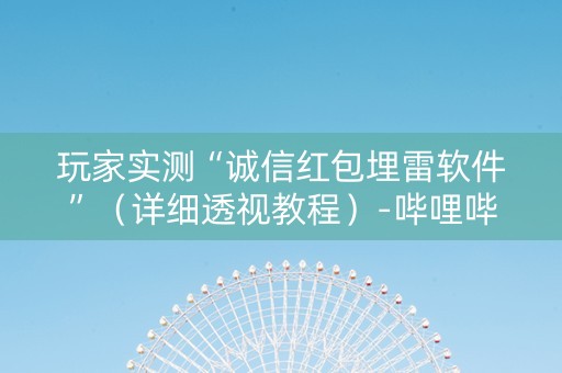 玩家实测“诚信红包埋雷软件”（详细透视教程）-哔哩哔哩