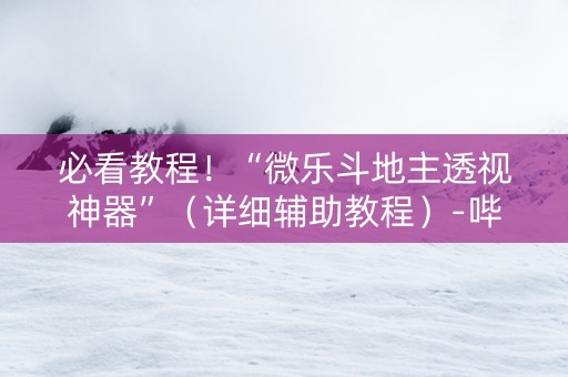 必看教程！“微乐斗地主透视神器”（详细辅助教程）-哔哩哔哩