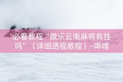 必看教程“微乐云南麻将有挂吗”（详细透视教程）-哔哩哔哩