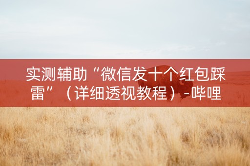 实测辅助“微信发十个红包踩雷”（详细透视教程）-哔哩哔哩