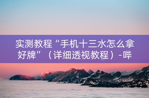 实测教程“手机十三水怎么拿好牌”（详细透视教程）-哔哩哔哩