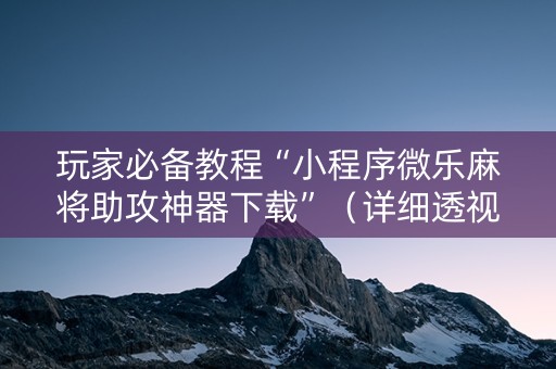 玩家必备教程“小程序微乐麻将助攻神器下载”（详细透视教程）-哔哩哔哩