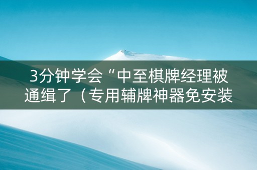 3分钟学会“中至棋牌经理被通缉了（专用辅牌神器免安装）