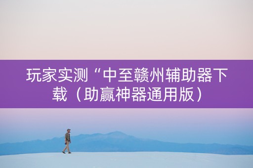 玩家实测“中至赣州辅助器下载（助赢神器通用版）