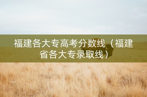 福建各大专高考分数线（福建省各大专录取线）